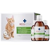 RECOACTIV Immun Tonicum für Katzen, 3 x 90 ml, Appetit anregendes Diät-Ergänzungsfuttermittel bei Untergewicht, Mangelerscheinungen, gestörter Nahrungsaufnahme und in der Rekonvaleszenz