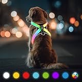 LED Leuchtgeschirr für Hunde - Aufladbar & Reflektierend Hundegeschirr, 3-Lagiges Air Mesh für Atmungsaktivität & Komfort, Verstellbar für Mittelgroße bis Große Hunde, Nachtsicherheit für Spaziergänge
