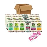 Somersby Cider MEGA MIX Pear, Red Rhubarb, Blackberry, Elderflower Lime, Blueberry und Apple 4,5% Vol. (24 x 0.33 l)