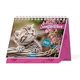 Trötsch Aufstellkalender Samtpfötchen 2026: Aufstellkalender Tischkalender