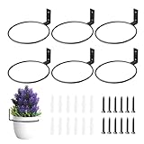 Blumentopf-Wandhalter, 6-teilig, Blumentopf, Metall-Display-Halter, Wand-Blumenbehälter-Aufhänger – für Innenbereich, Zuhause, Büro, Wohnung, Bauernhaus, Balkon, Wohnzimmer, Badezimmer, WC