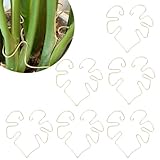 DELORIGIN 6 x Kletterstielstützen für Pflanzen, Monstera-Blattstabilisator, Greiferhalter, Blumen-Pflanzenpfähle, Rankhilfe, Haken, Pflanzenwachstumsregal, Zubehör für Gärtner, Pflanzen, gedeihendes