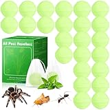 Yineaae Spinnenabwehr, 24 Stück Natürliches Pfefferminzöl Lebensmittelmotten Falle, Schädlingsbekämpfung für Drinnen und Draußen, Vertreibt Mäuse, Spinnen, Motten, Wespen, Ameisen