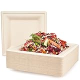 HAAGO 100 Premium Zuckerrohr Bagasse Einwegteller, (Eckig) 20cm - Stabil, Biologisch Abbaubar, Umweltfreundlich & Kompostierbar