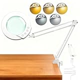 TYEE 10X Lupenlampe Lupe mit Licht und Klemme,beleuchtete Lupe aus echtem Glas mit 5 Farbmodi&stufenloser Dimmbarkeit,Touch-Steuerung Schreibtischlampe für Hobbys,Basteln,Lesen und Naharbeit(Weiß)