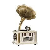 Hi-Fi & Home Phonograph Turntable Wireless Speaker， mit Aux-in， UKW-Radio， USB-Anschluss für Flash-Laufwerk， (Plattenspieler) Gift of Heart