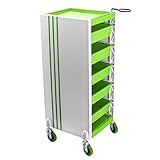 Friseurladen Trolley Friseursalon Dedicated Rack Trolley Wagen Friseurladen Werkzeugwagen (Farbe : Green)