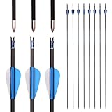 PHILOCS 12Stück Reinkohle-Pfeile Spine 250 300 350 400 500 600 650 700 750 800 900 1000 Jagdpfeil, ID 4.2mm Übungspfeil, für Recurve-Bogen Compound-Bögen Bogenschießen (Spine 600, 30inch)