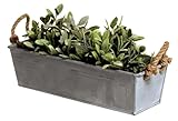 LB H&F Blumenkasten Balkonkasten 44cm Zink - Pflanzkasten Massiv Metall Zinkdeko Gartendeko Pflanzgefäß (Zink)