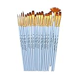 20pcs Draw Paint Brushes Set Kit Künstlerpinsel Mehrere Medien Pinsel mit Nylonhaar für Künstler Acryl Aquarell Aquarell Gouache Öl Schminken für Großartige Kunstzeichnung Zubehör für Malerstudenten
