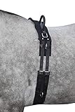 HKM 12701 Longiergurt Canvas, Fester Doppelgriff Longierbedarf Schwarz Pony, 1 Stück (1er Pack)