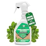 Super Ninja Spinnen und Silberfish Spray 500ml, Pflanzliches bekämpfung mit Pfefferminzöl gegen Spinnen, Silberfische & Kakerlaken, Langzeitwirkung, Sicher für Kinder & Haustiere