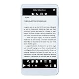 RASTKY Electronic Book Reader 5 Zoll HD Inkless Screen Ebook Reader für Video-Sound-Bild, Personalisierte Einstellungen für Lesekomfort, Aluminiumlegierungsmaterial