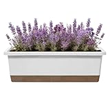 Generisch Selbstbewässerungstöpfe Für Zimmerpflanzen - Stecklingsbehälter,mit Wasserstandsanzeiger, Untersetzer, Ablaufloch & Bewässerungsschnur | Für Arbeitsplatz, Fensterbank, Terrasse, Balkon, Und