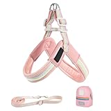 Miyanvuo Hundegeschirr Mit Leine - Verstellbares Geschirr Für Kleine Hunde | Sicherheitsausrüstung Tierzubehör Mit Tasche Für Stadt Park Camping Wandern