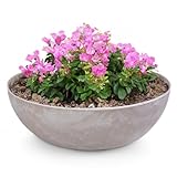 matches21 Pflanzschale für draußen - große Vintage Dekoschale Sand beige marmoriert als Blumentopf Pflanztopf - Schale in 37 x 10,5 cm als Garten Vogeltränke Balkon-Deko oder Friedhof Grabschale