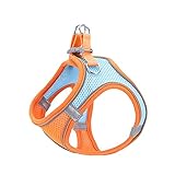 PURRL Haustier-Brustgeschirr, Traktionsseil, reflektierendes, atmungsaktives Nylon, Haustierweste, Hundegeschirr für Welpen, orange + blau, M Little Surprise