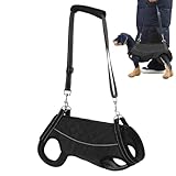 Mobilitätsgeschirr für Hunde, große Hebeschlinge, Senior-Hundegeschirr | Trainingsgurt zur Rehabilitation der Rehabilitation zur Unterstützung der Reflexionsunterstützung für Tiere