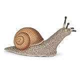PAPO -Handbemalt - Figuren -Wildtiere Der Welt-Schnecke-50262-Sammelbar-Für Kinder - Geeignet für Jungen und Mädchen - Ab 3 Jahren