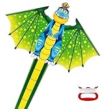 Flintronic Drachen, Drachen für Kinder und Erwachsene, Dinosaurier Flugdrachen für Kinder,Kinder Drachen mit Langem Schwanz,Children's Kite mit 100m Drachenschnur,für Spiele und Aktivitäten im Freien