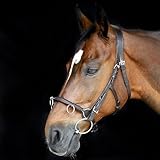 Heinick-Reitsport Französischer Profi Leder KAPPZAUM ~ Cavecon Cavesson Braun ~ mit Gebissriemen WB VB Größe Vollblut/Cob