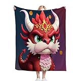 Dozrmey Kuscheldecke Flauschig 200x220 cm Cartoon-Drache, 3D Mikrofaser Flanell Schmusedecke Wohndecke Couchdecke Tagesdecke für Wohnzimmer, Schlafzimmer, Camping, Picknick D379