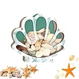 Seashell Vitrine – Transparente Aufbewahrungsbox, dekorativer Holz-Organizer, tragbare Vitrine Vitrine, Schutzhalter, Sammlerstücke, für Zuhause, Badezimmer, Wohnzimmer, Schlafzimmer