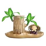 Glücksbaum Brasilianische Glückspflanze Mit Pflanzgefäß Brasilianische Hydrokultur Pflanzen Set Aus Brasilianischem Holz Absorbieren Sie Formaldehyd Verhindern Strahlung Und Reinigen Sie Die Luft