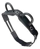 Brama West Voltigiergurt Reitgurt mit Zwei Griffen aus Leder - geeignet auch als Longiergurt - Gr. Full