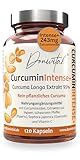 Kurkuma-Extrakt (Curcuma longa) 95% – 4 Monate Vorrat – 1 Kapsel am Tag - magensaftresistent - vegan – 243 mg Curcuminoide je Kapsel – mit Ingwer, Piperin, Quercetin & Vitamin C – in Glasflasche
