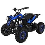 Actionbikes Motors Kinder Quad Elektro ATV Reneblade | 𝟒𝟖 Volt 𝟭𝟬𝟬𝟬 Watt Motor bis 𝟐𝟓 km/h - Kinderquad - Pocket Quad - Miniquad - Safety Fußschalter - Für Kinder ab 6 Jahren (Schwarz/Blau)
