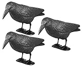 Taubenschreck Rabe Lummy - Schwarze Vogelattrappe aus Kunststoff zur Abwehr von Tauben, Möwen, Kleinvögeln für Garten, Balkon, Terrasse - 3 Stück