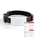 Simmotrade® SMT_911_OS, GPS Tracker für Hunde und große Katzen ohne ABO Bild.de Vergleichssieger Juni_2021