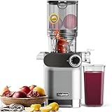 Anybear Entsafter, 200W Slow Juicer Kaltentsafter mit 110 mm großem Einfüllschacht für ganze Früchte/Gemüse | Upgraded Schnecke | Tritan-Material | BPA-frei | Inkl. Saftrezepte (silberweiß)