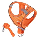 Katzengeschirr, Weiches Reflektierendes Mesh Geschirr Und Leine, Zubehör Für Sicherheit Training Reisen Wandern Rucksack Outdoor Abenteuer