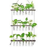 XXXFLOWER Reagenzgläser für Blumen,Kleine Vasen Set mit Ständer für Pflanzen,3X7 Propagation Station,Ableger Pflanzen Glas,Zimmerpflanzen Zubehör Pflanzenterrarium Pflanzenhalter Terrarium