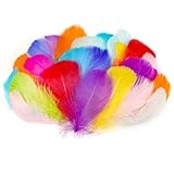 AOOTE Bastelfedern,100 Stück Deko Federn,6~12cm,Bunte Federn,Weich Federn,Flaumfedern,Feder Handwerk für DIY Ohrring,Kopfschmucksfedern,Traumfänger,Hochzeit,Ostern,Weihnachten