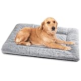 Baodan Hundebett Mittelgroße Hunde Waschbar, 90x60 cm Hundekissen Flauschig mit rutschfeste Unterseite, Hundebetten für Mittelgroße Hunde, Grau