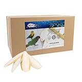 Birds LOVE 15,2 cm Großpackung für Nymphensittiche, Wellensittiche, Finken, Kanarienvögel, kleine Sittiche, Mynahs, Tukane, Graupapageien, alle Papageien, 1,8 kg