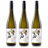 Goodvines Riesling alkoholfrei – Deutscher Weißwein 0,0% vol – vegan, kalorienarm & entalkoholisiert – fruchtiger Riesling-Genuss ohne Alkohol – inkl. gratis Weinausgießer (3 Flaschen)