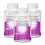 3er Pack Immun-Komplex mit 15 aktiven Inhaltsstoffen - Echinacea, Brokkoli, Ingwer, Salbei, Brennnessel, Cistus, Olivenblatt, Vitaminen C, B9 und D, Zink und Selen - deutsche Produktion