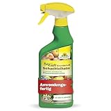 Neudorff BioKraft Grundstoff Schachtelhalm – Anwendungsfertiges Spray gegen Pilzkrankheiten an Obst und Gemüse, 100% natürliche Inhaltsstoffe, 500 ml