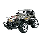 Tastak 1:24 mit licht Ladung Fernbedienung schnelle rc Autos und Kinder wiederaufladbare Batterie rc Autos fernregelung Auto für Erwachsene 15km / h Hobby rc Cars 2wd professionelle rc Off-Road Truck
