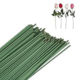 100 Stück Blumendraht Grün, Blumendraht Blumenstamm Draht Grün, Steckdraht Drahtstäbe zum Basteln für Handwerk Kranz, Blumenstrauß Blumenherstellungszubehör, Floristen-blumenarrangements Floristik