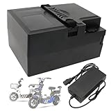 SSCYHT Lithiumbatterie 60 V 20 Ah 18 Ah Ersatzbatterie 72 V Elektrorollerbatterien 48 V 15 Ah 12 Ah 22 Ah Motorradbatterien 25 Ah für 500 W – 1800 W Motorkit mit Ladegerät,48v24ah