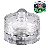 Generisch Teichlichter LED unter Wasser – flammenlose batteriebetriebene tauchbare, wasserdichte Mini- | Dekorative Aquariumvase, Schwimmbad, Badewanne, Gartenbeleuchtung