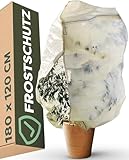 Praknu Winterschutz für Pflanzen XXL 180 x 120 cm - Dickes Material - Mit Aufbewahrungstasche - Waschbar - Reißfest - Für Palmen