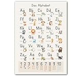 LAVEMA® Großes ABC Lernposter DIN A2 (60x42cm) Poster ohne Rahmen Grundschrift Buchstaben Zahlen lernen Kinderzimmer Grundschule Vorschule