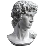 PIGPIGFLY Michelangelos David Büste Statue, Deko Wohnzimmer, Home Store Dekoration, Moderne Ornamente, Polyresin, Geschenk