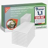 Exeta 10x Gewächshausplatten 6 mm I Polycarbonat Hohlkammerplatten für Gewächshäuser I PC Doppelstegplatten UV-beständig & bruchsicher I für Garten, Frühbeet uvm I 60,5cm x 121cm I Transparent